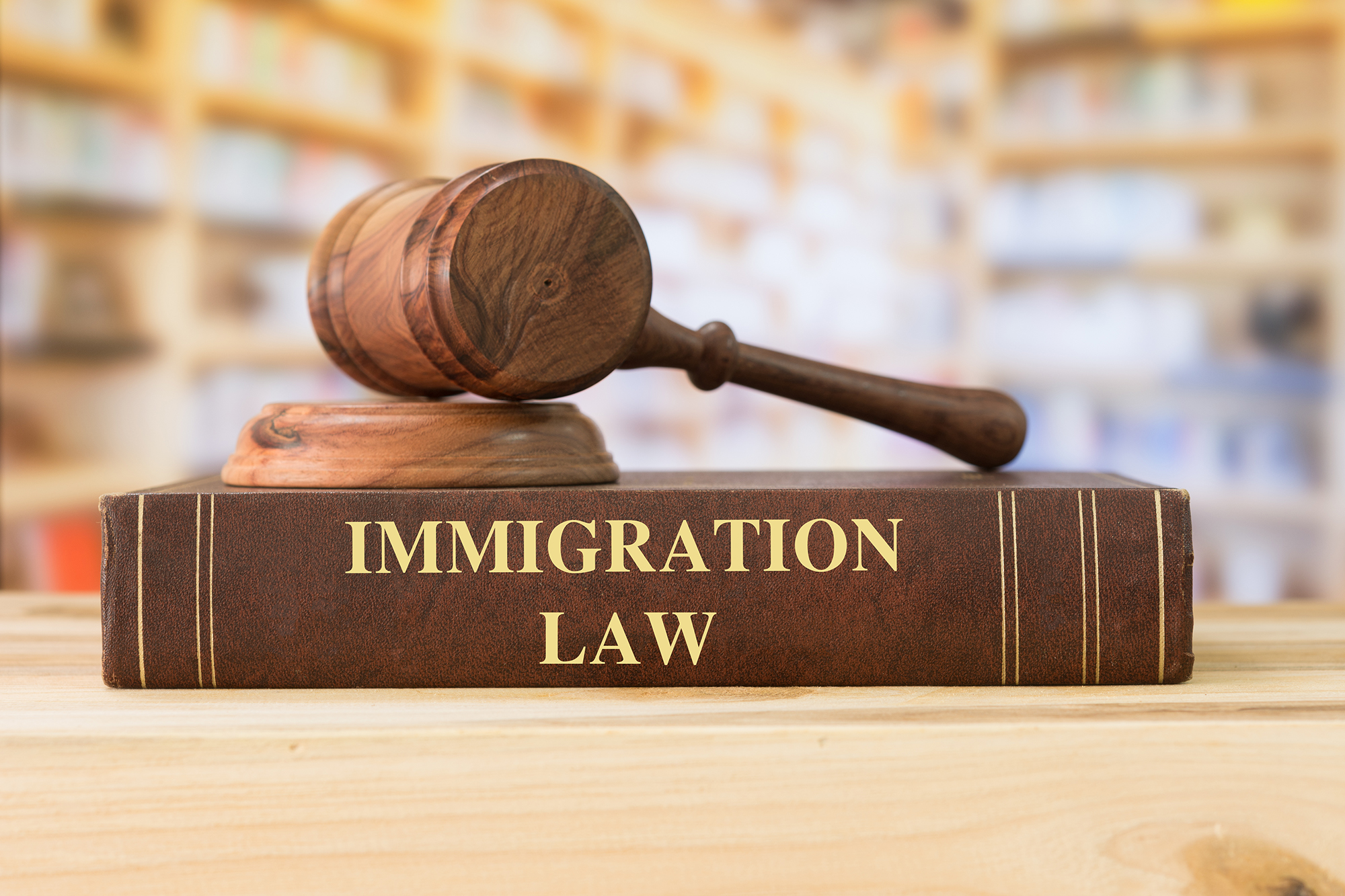 Immigration Law RP Crawford & Co Solicitors