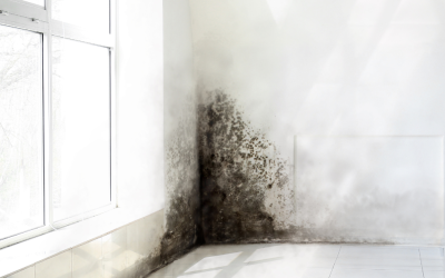 Photo showing damp and mould in a property